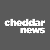 Cheddar News logo